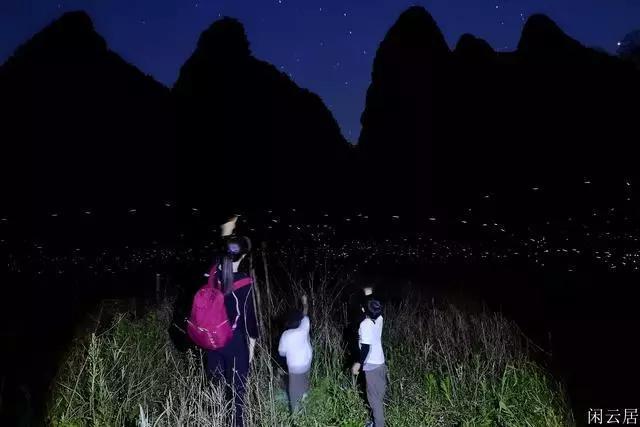 流量上限后如何继续使用流量?-有问必答平台,解决你的疑问