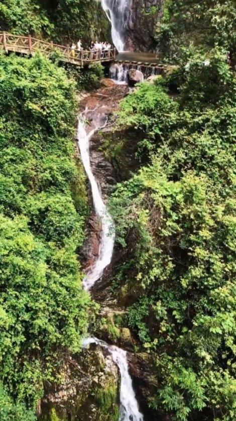 探索知识星球平台,发现宝莲灯沉香喜欢不是小玉真的?的美妙世界!